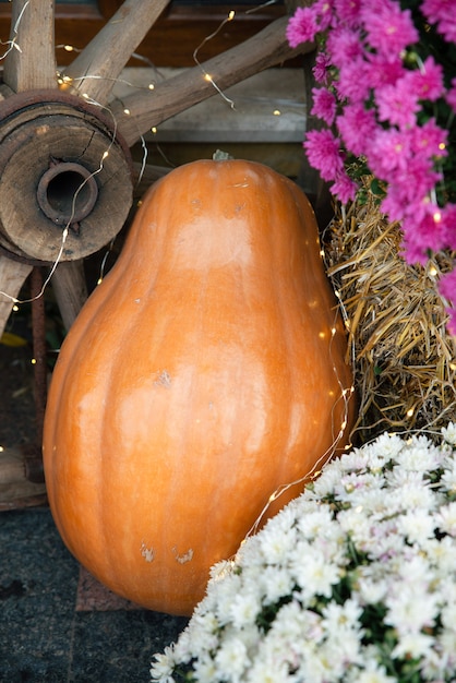 Yellow autumn gourd as a part of Thanksgiving decoration. Vertical photo.