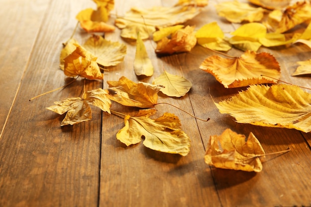 Yellow autumn leaves on wooden table closeup