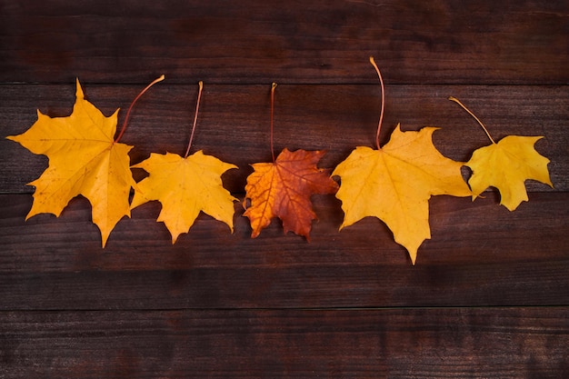 Yellow autumn maple leaves on a brown wooden background Fallen foliage Backdrop for design