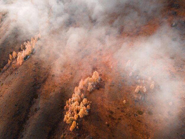 Yellow autumn trees in the mountains with clouds at sunrise. Autumn landscape in Altai mountains, Siberia, Russia. Beautiful autumn landscape