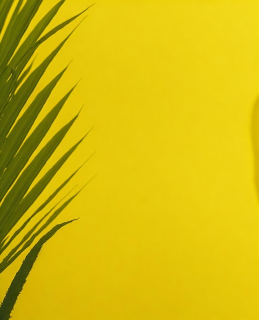 A yellow background with a palm leaf and a sign that says