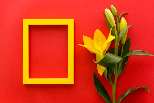 Yellow blank photo frame with fresh lily flowers on red backdrop