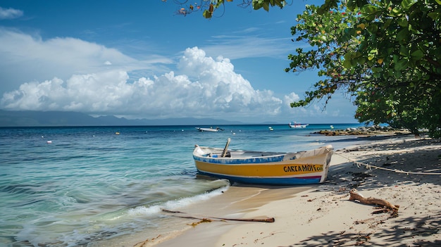 a yellow and blue boat that says calla on it