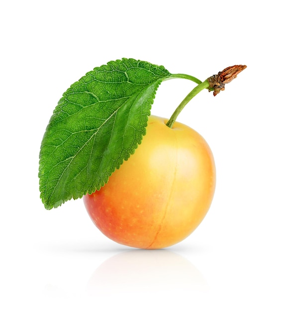 Yellow cherry plum with leaves isolated on white backgrounds with clipping path. High quality photo