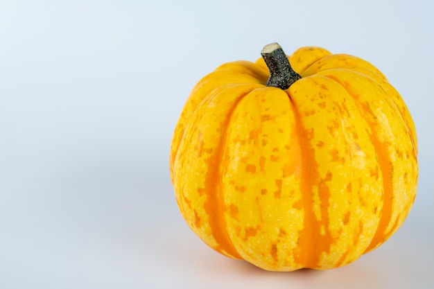 Yellow colored pumpkins on a white