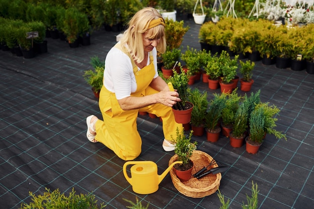 In yellow colored uniform Senior woman is in the garden at daytime Conception of plants and seasons