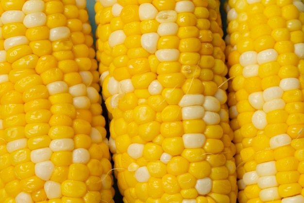 Yellow cooked corn closeup