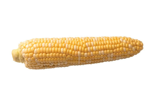 Yellow corn isolated on white background Copyspace