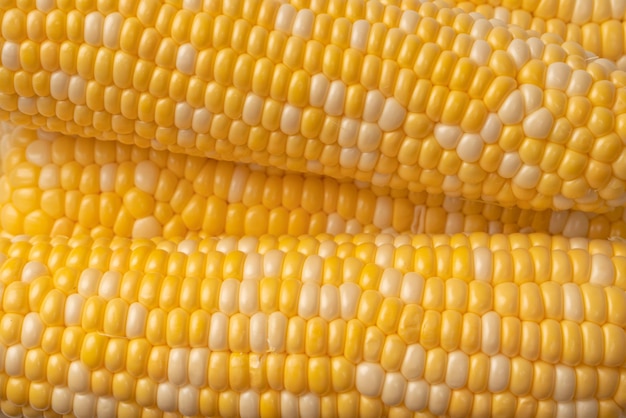 Yellow corn isolated on white background Copyspace