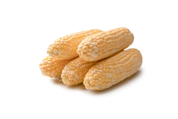 Yellow corn isolated on white background Copyspace