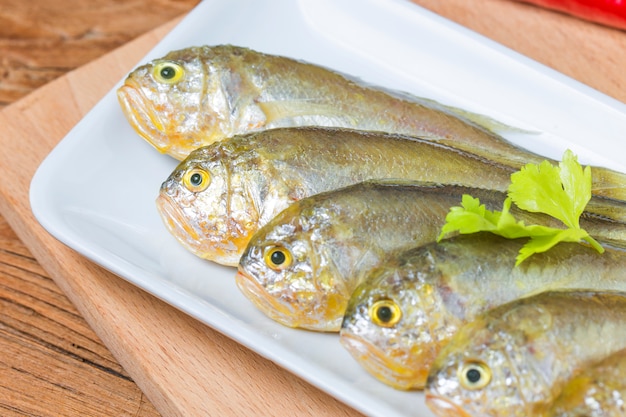 Yellow Croaker Fish