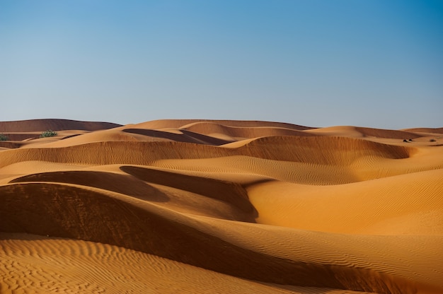 Yellow desert dunes and sky