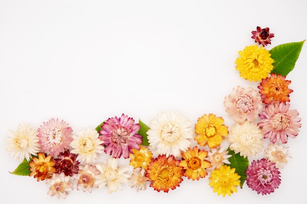 Yellow dry flowers, branches, leaves and petals pattern isolated on white background. flat lay, overhead view