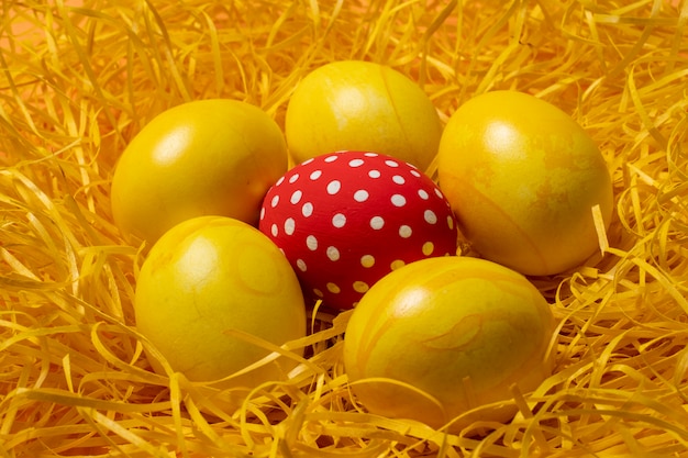 Yellow easter eggs on straw background