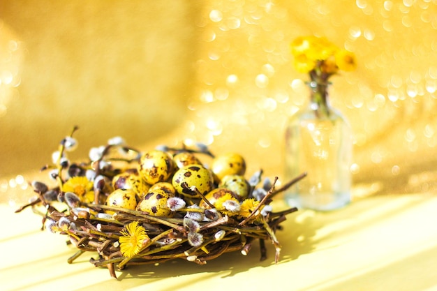 Yellow Easter spring eggs in a nest of branches on a yellow background, sunny shadows, copi space, glare and bokeh, soft focus