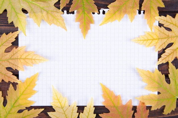 Yellow fallen maple leaf lies on a notepad