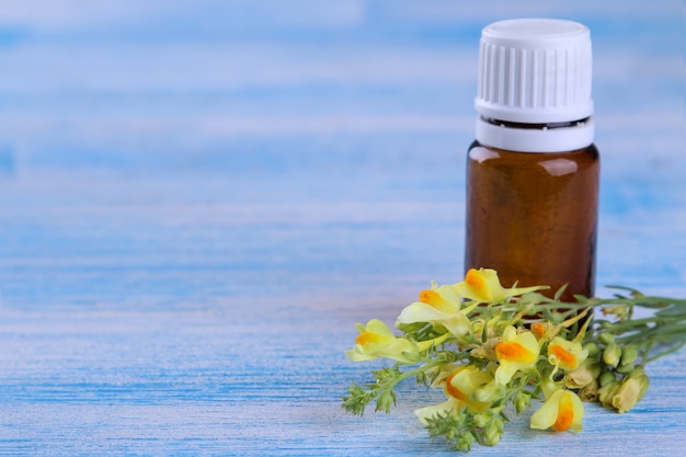 Yellow field flowers with a bottle of essential oil on a blue wooden table.