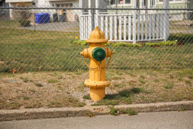 A yellow fire hydrant with a green cap on it.