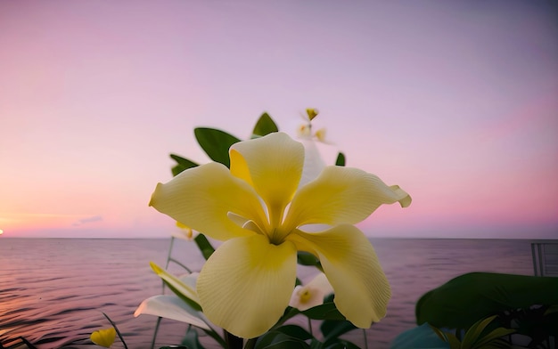 A yellow flower is surrounded by leaves and the sky is a purple and pink sunset