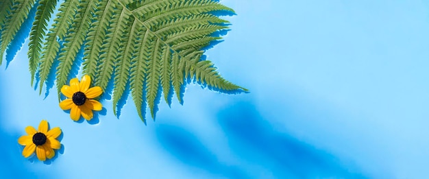 Yellow flowers fern leaf on a blue water background under natural light Top view flat lay Banner