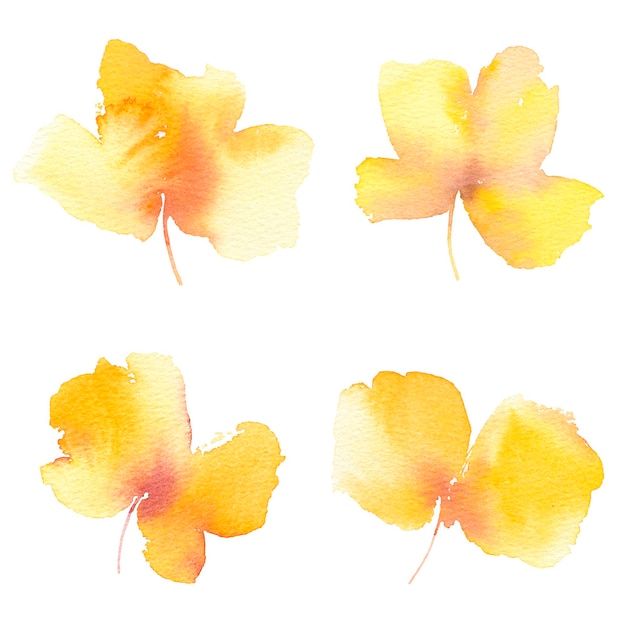 Yellow flowers Floral set Watercolor flowers Decor elements for design Wedding decor