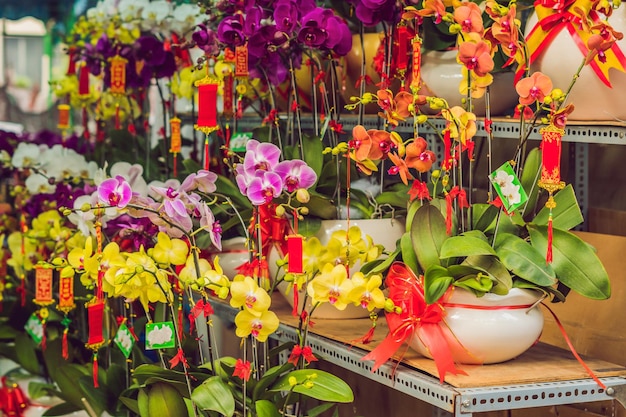 Yellow flowers in honor of the Vietnamese new year. Lunar new year flower market. Chinese New Year. Tet