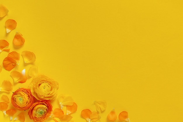 Yellow flowers and petals on a yellow background top view