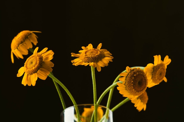 Yellow flowers in a vase on a dark background. Macro photo