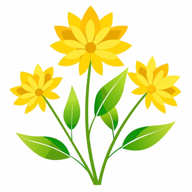 Yellow Flowers on White Background