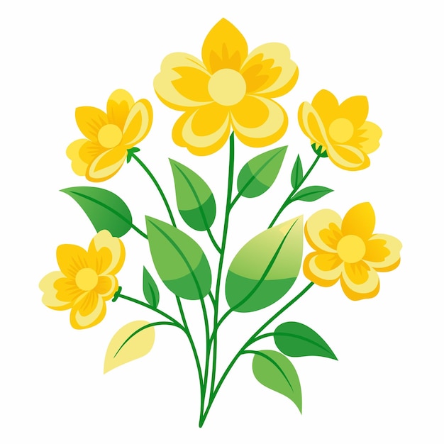 Yellow Flowers on White Background