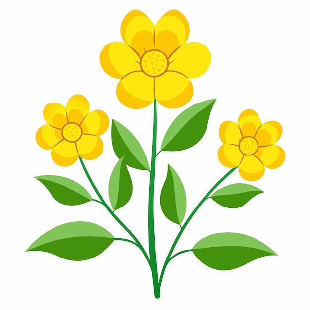 Yellow Flowers on White Background