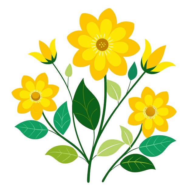 Yellow Flowers on White Background