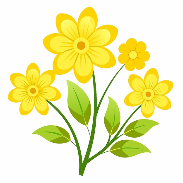 Yellow Flowers on White Background