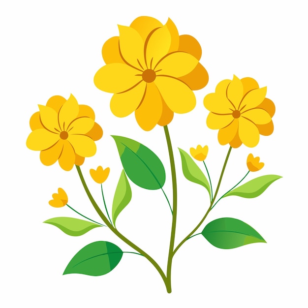 Yellow Flowers on White Background