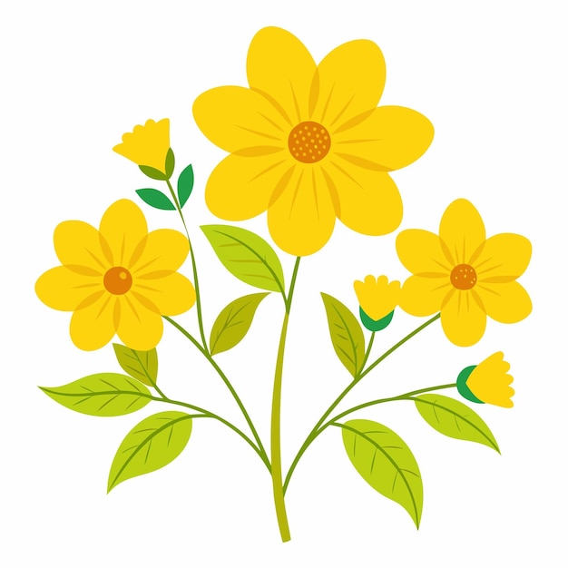 Yellow Flowers on White Background