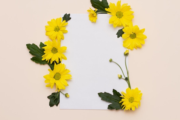 yellow flowers with unopened buds and green leaves lie on a beige background in comparison with an empty white square. Floral blank mockup. Concept, template for the spring holidays