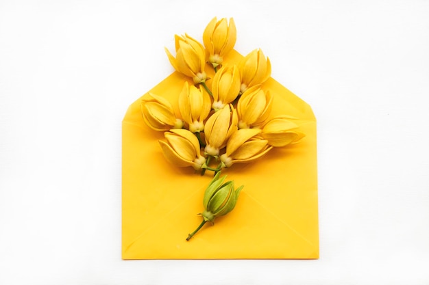 yellow flowers ylang ylang arrangement on envelope flat lay postcard style