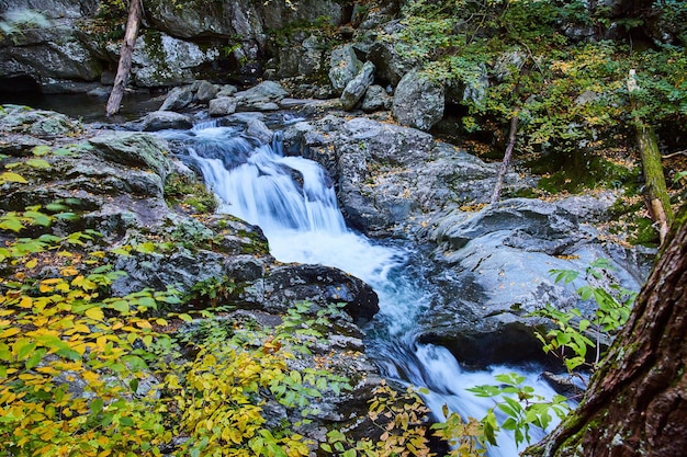 Yellow foliage and rocks surround river with cascading waterfalls in New York