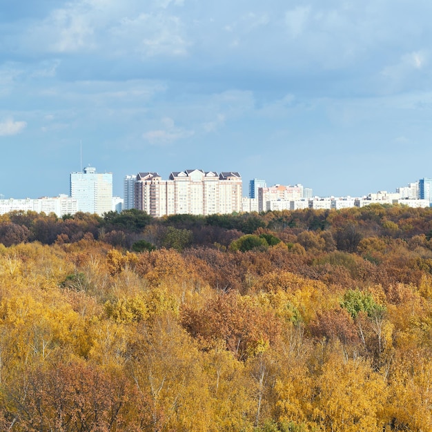 Yellow forest urban houses blue clouds