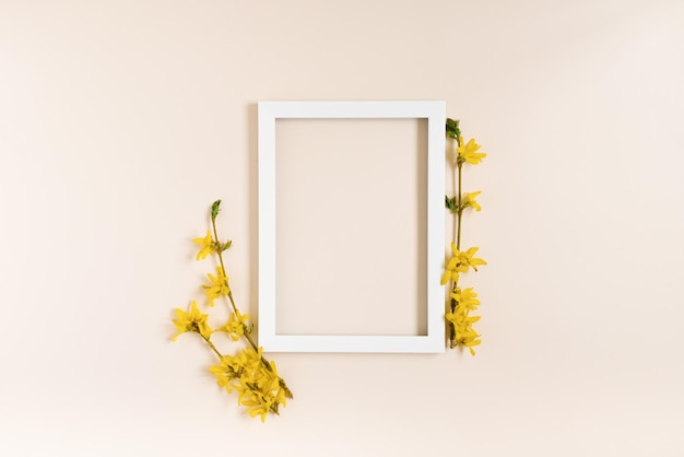 Yellow forsythia flowers around a white frame on a pastel beige background Flat lay