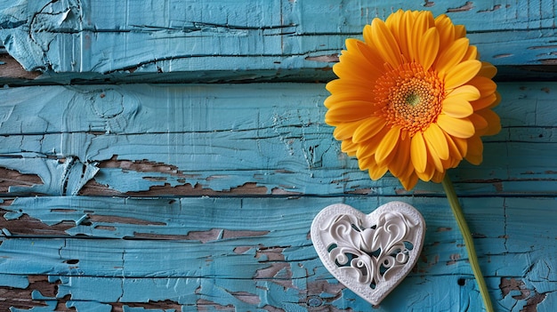 Yellow Gerbera Daisy on Blue Wooden Background