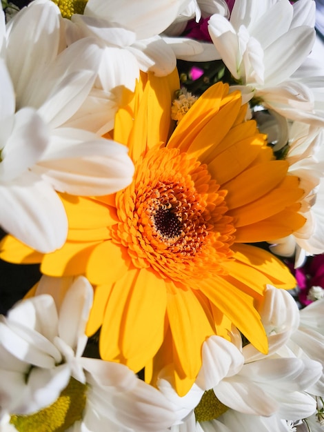 Yellow gerberaPastel colors wedding bouquet backgroundmany ChrysanthemumsFloral backgroundSelective focus Resale of flowers Bouquet as a gift sunny weather