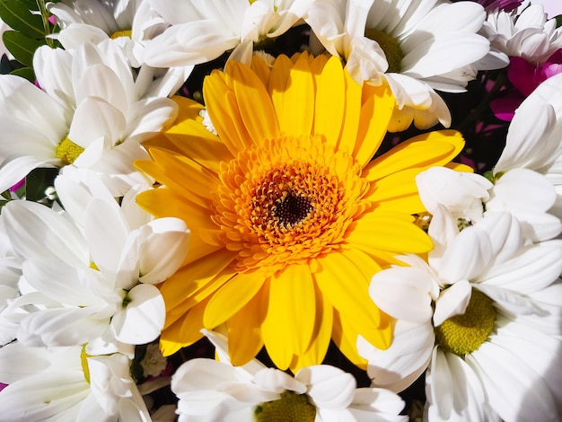 Yellow gerberaPastel colors wedding bouquet backgroundmany ChrysanthemumsFloral backgroundSelective focus Resale of flowers Bouquet as a gift sunny weather