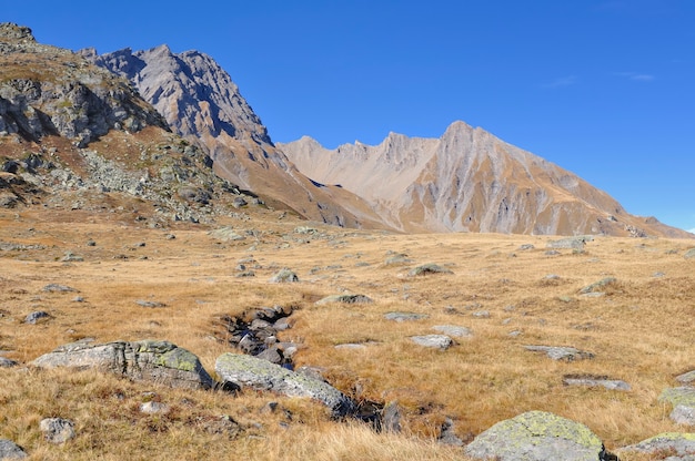 Yellow grass  in autumn in rochy mountain with a litlle fresh water crossing the meadow under blue sky