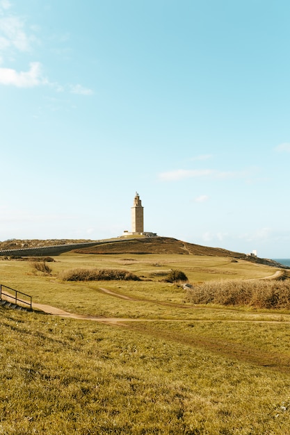 Yellow grass in front of the lighthouse