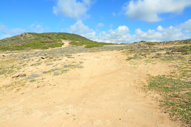 Yellow and green hill in Argentiera Sardinia