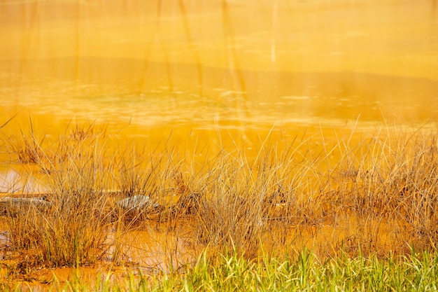 A yellow lake with a green grass in the foreground and a small pond in the background.