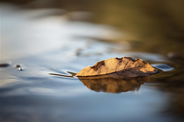 Yellow leaf floats in dark water AI generated content