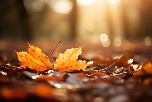 Photo a yellow leaf lies on the ground in autumn