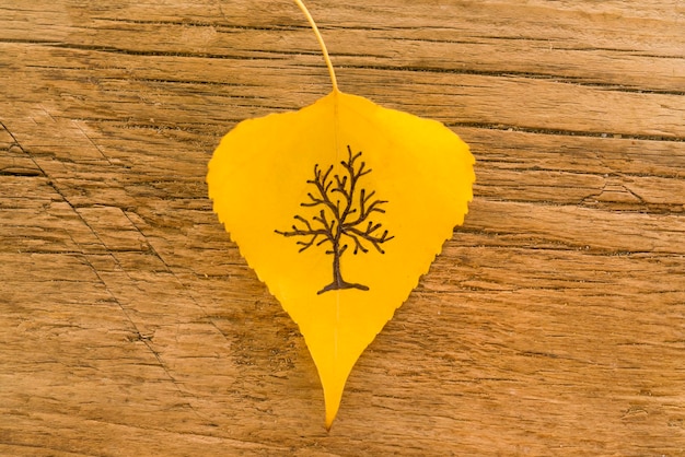 Yellow leaf with a picture of bare tree on the old wooden background with cracks